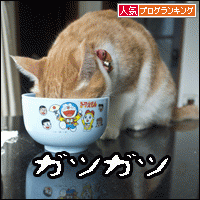 人気ブログランキングへ